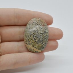 Cabochon Jasp Leopard 2 38x26x7mm C37