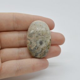 Cabochon Jasp Leopard 2 38x24x7mm C67
