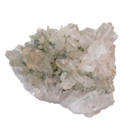 Floare de mina pentru colectie, unicat - C543 (Lot 1)