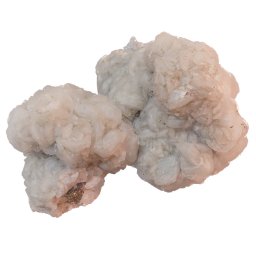 Floare de mina pentru colectie, unicat - C563 (Lot 1)
