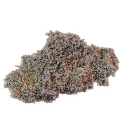 Floare de mina pentru colectie, unicat - C583 (Lot 1)