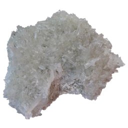 Floare de mina pentru colectie, unicat - C610 (Lot 1)