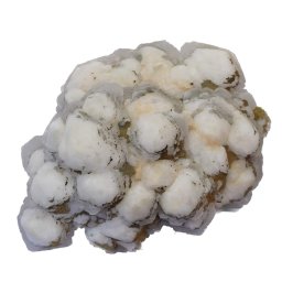 Floare de mina pentru colectie, unicat - C688 (Lot 1)