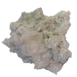 Floare de mina pentru colectie, unicat - C698 (Lot 1)