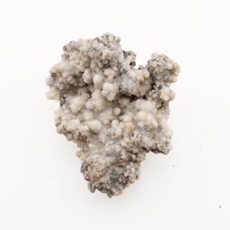 Floare de mina pentru colectie, unicat - A133
