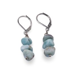 Cercei cu agatatoare Larimar freeform 8-10mm