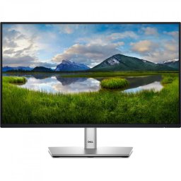 DL MONITOR 21.5 P2225H LED 1920x1080 P2225H (timbru verde 7 lei)