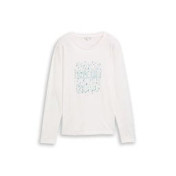 TOM TAILOR Tricou albastru porumbel / albastru deschis / verde mentă / alb