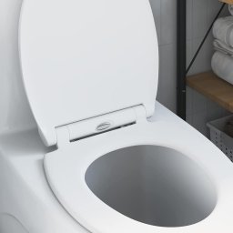 Toaleta cu Eliberare Rapida potrivita pentru Sediu Alb GartenMobel Dekor