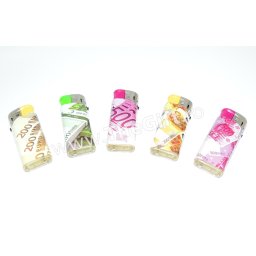 Bricheta mecanica, model bani, euro