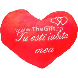 Perna cu mesaj romantic "Tu esti iubita mea