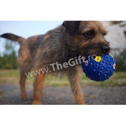 Jucarie minge pentru recompense, cu sunet