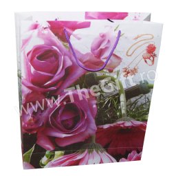 Punga de cadou din plastic