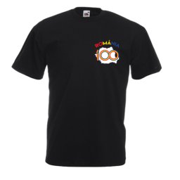 Tricou Centenar Romania, pentru barbati
