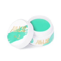 Gel de pictura Art Allepaznokcie Mint 5g No2