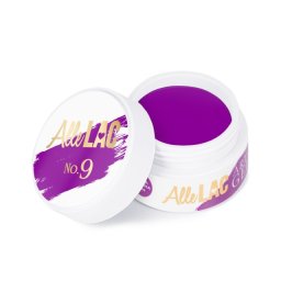 Gel de pictura Art Allepaznokcie Purple 5g No9