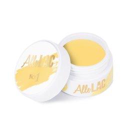 Gel de pictura Art Allepaznokcie Yellow 5g No1