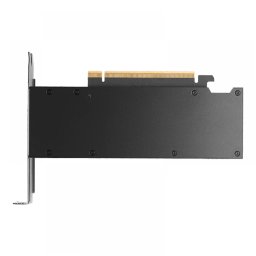 PNY VCNRTXPRO2000-PB RTX PRO 2000 16GB GDDR7 Blackwell PCIE
