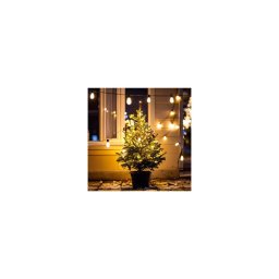 BRILAGI - LED Ghirlandă de Crăciun pentru exterior 10xLED/3xAA 3,2m IP44 alb cald