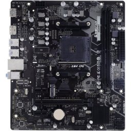 Placa de baza Biostar A520MT