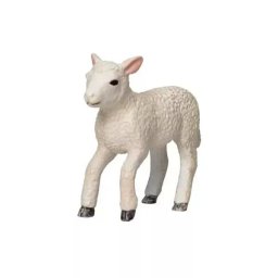 Mojo: Romney miel - alergător, 2,1 cm