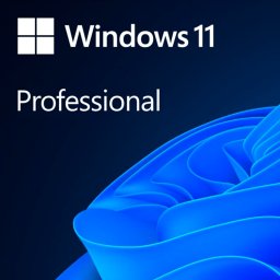 Licenta Windows 11 Professional 64-bit All Languages Online Product Key License 1 License Downloadable ESD NR