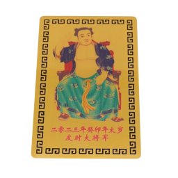Card Feng Shui Tai Sui (taisui), amuleta pentru protectie, Metal, model 1