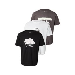 JACK & JONES Tricou 'JCOFLARE' gri închis / negru / alb