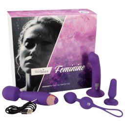 Magic Shiver Women Love Toy Starter Set Feminine Purple