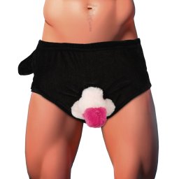 Orion Penis Briefs