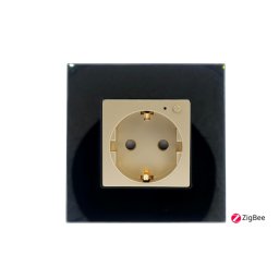 Priza completa ZigBee