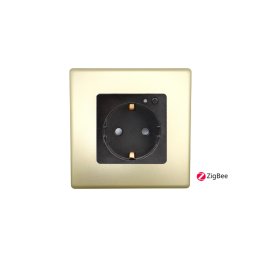 Priza completa ZigBee