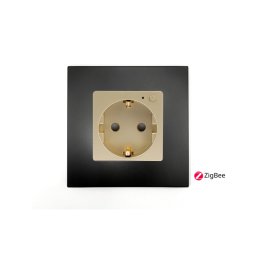 Priza completa ZigBee