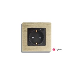 Priza completa ZigBee