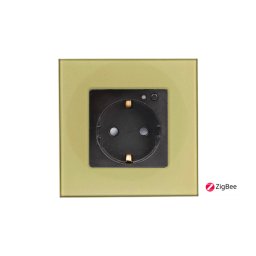 Priza completa ZigBee