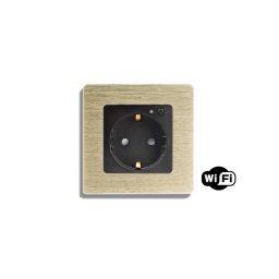 Priza completa WiFi