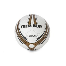 Minge futsal sala