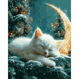 Set pictura pe numere, cu sasiu, Pisica si luna, 40x50 cm