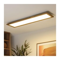 Brilagi - Corp de iluminat LED dimabil SLIMFRAME WOOD LED/58W/230V 124x33,7 cm + telecomandă inclusă