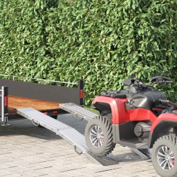 Rampa de Incarcare 2 pcs Argintiu 166 x 22,5 x 4,5 cm GartenMobel Dekor