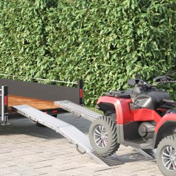 Rampa de Incarcare 2 pcs Argintiu 185 x 22,5 x 4,5 cm GartenMobel Dekor