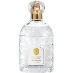 Eau De Fleurs de Cedrat EDT 100 ml