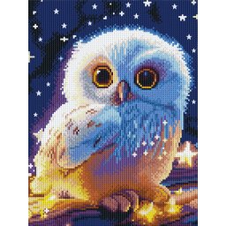 Set goblen cu diamante, cu sasiu, Pui de bufnita, 30x40 cm