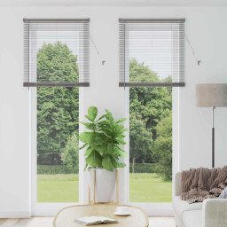 Jaluzea pentru Fereastra cu perdele Manual Argintiu Aluminiu GartenMobel Dekor