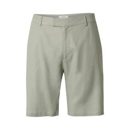 DAN FOX APPAREL Pantaloni 'Leonas' verde pastel