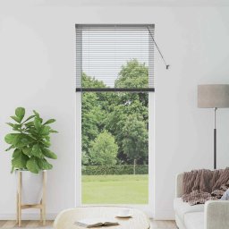 Jaluzea pentru Fereastra cu perdele Manual Gri închis Aluminiu GartenMobel Dekor