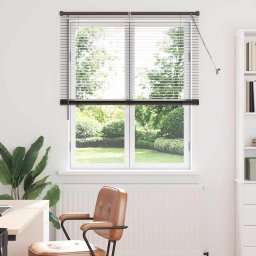 Jaluzea pentru Fereastra cu perdele Manual Negru Aluminiu GartenMobel Dekor