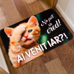 Covoras interior pisica NU POT SA CRED