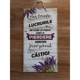 Tablou mesaj motivational PIERZAND CASTIGI