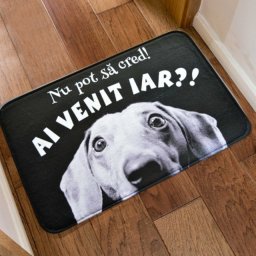 Covoras interior catel AI VENIT IAR?!